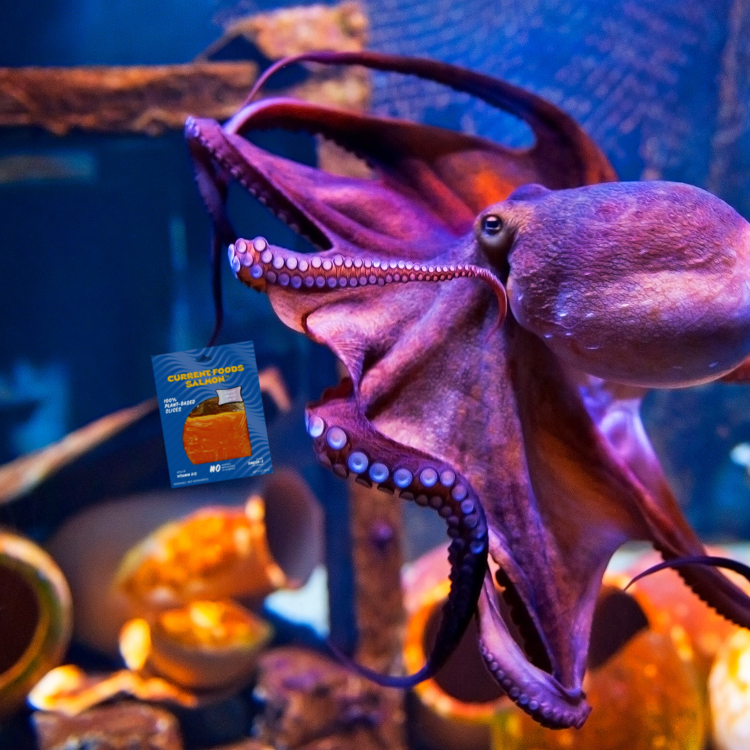 Current Foods tweet media