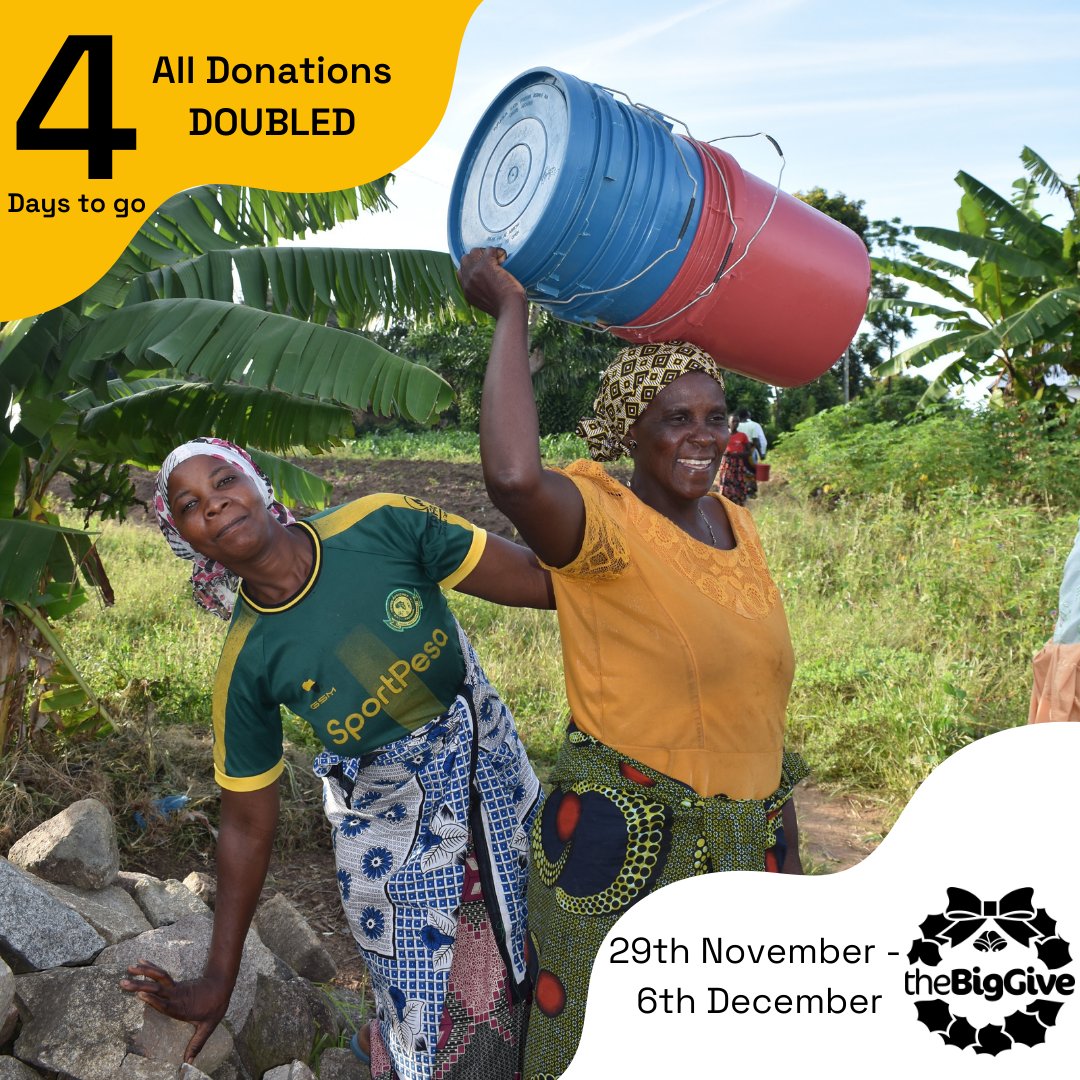 BeesAbroad's tweet photo. Don't forget to take some buckets with you to the hive. One to carry the tools in, several for good quality comb and one for the lesser quality comb you want to keep separate. Find out how you can #beepartofthestory here:https://t.co/hN1ZW2gYu7 @thebiggive #beekeepersforlife https://t.co/5MLydtSxqd