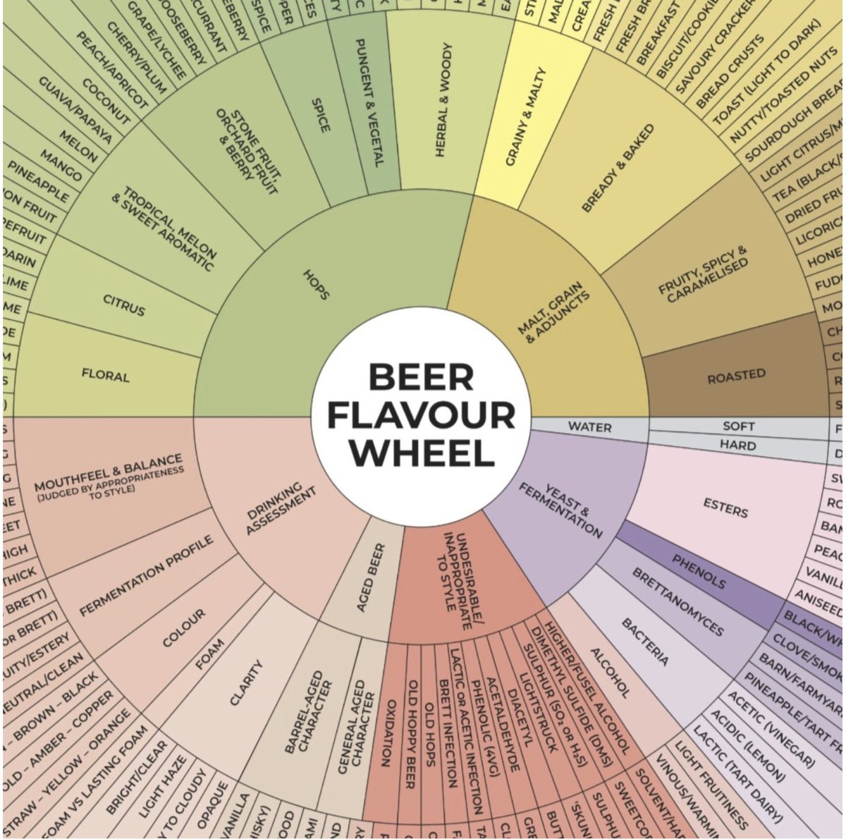 bierocratie's tweet image. RT @tastingcraftbeer@mastodon.beer
#Beer #Flavor wheels! 
#beerflavor #flavorwheel

beerdredge.com/post/the-beer-…
mastodon.beer/@tastingcraftb…