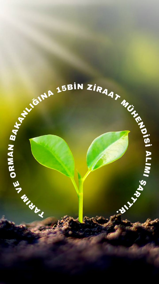 <a href="/avukatayhanerel/">Ayhan EREL</a> 🌾Tarım bizim en akıllı arayışımızdır, çünkü eninde sonunda gerçek servete, iyi ahlaki değerlere ve mutluluğa katkıda bulunacaktır.
❗Tarima gereken önem verilmeli,15Bin Ziraat mühendisi ataması yapılmalıdır.🌾
#VahitKirisci15BinZiraatMüh
<a href="/VahitKirisci/">Prof.Dr.Vahit Kirişci</a> <a href="/RTErdogan/">Recep Tayyip Erdoğan</a>
<a href="/Ali_Oztunc/">Ali Öztunç</a>