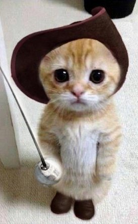 Eu por ti guapo, seria Batman♡