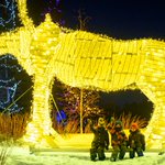 Photo by Assiniboine Park Zoo (@assiniboinezoo)
