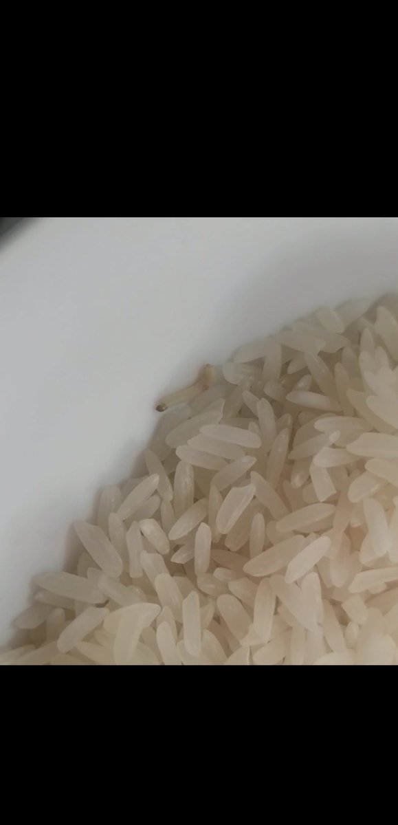 javiercanom13's tweet photo. @TucapelResponde Que asco de arroz 🤢🤮🤮🤮🤮 https://t.co/rqO0BikOj2