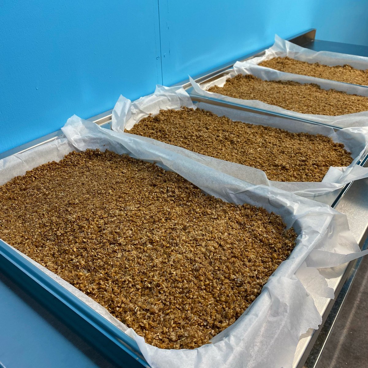 We are in the bakery today processing spent grains from yesterdays Yawn brew. 
These grains will be dehydrated and mixed with flour, flaxseed and peanut butter to make delicious, sustainable pale ale dog biscuits. 
We are just a few test batches away from launch!
😋🐶