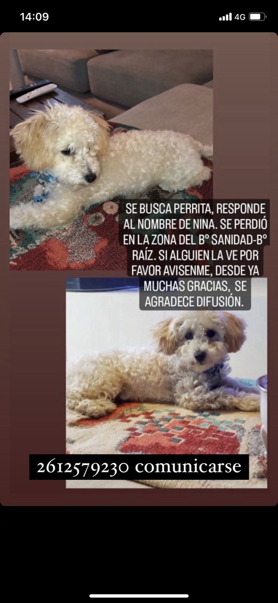 garciageronimo5's tweet photo. Se agradece difusión por favor ! Un rt ayuda mucho 😭🙏🙏 https://t.co/KqB5QygRHH
