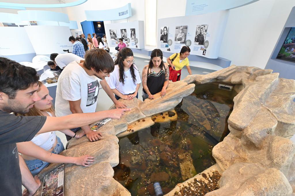 arcionimariano's tweet photo. ▶️ #PampaAzul es un espacio cultural con el fin de poner en valor los recursos del mar que presenta un abordaje desde lo científico, artístico y educativo con diferentes actividades que se pueden realizar.

#AdelanteChubut https://t.co/E0aT8tWv09