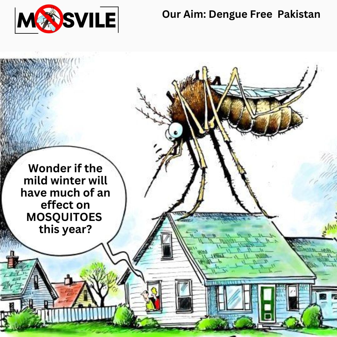 sab_jon's tweet photo. In tropical areas, mosquitoes are active year round. Some mosquitoes find holes or places inside to hide in until warmer weather. In temperate climates, mosquitoes of some species become inactive with the onset of cool weather and enter hibernation to live through the winter. https://t.co/2s5CPyegbP