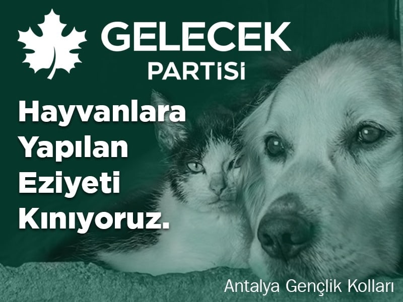 halilbaygeldi07's tweet photo. https://t.co/VnQsB1rbAL
