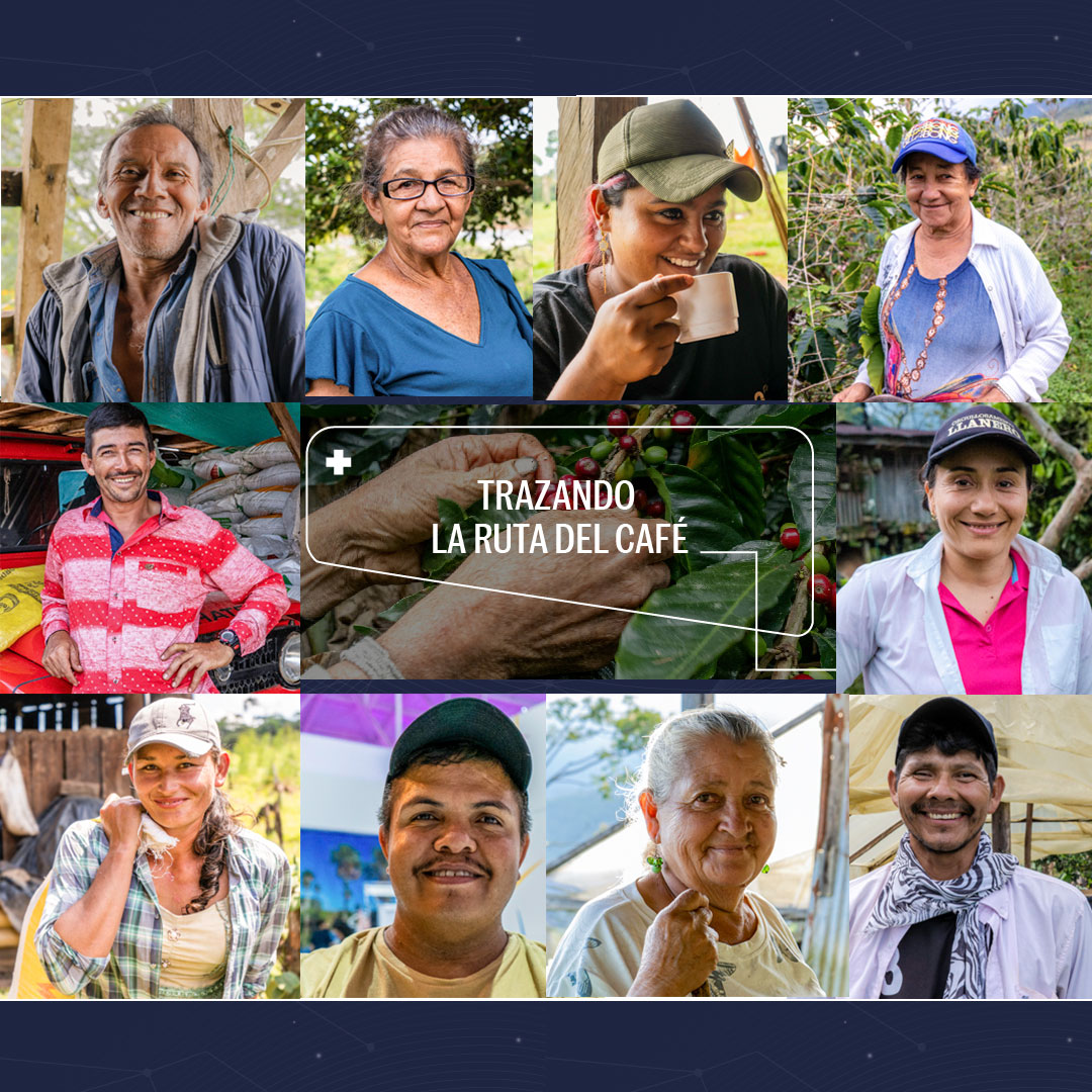 Trace.Coffee tweet media