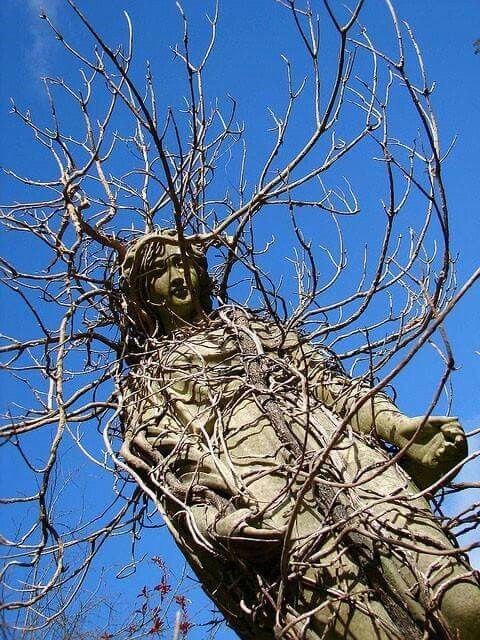 Séance archived. Contains @simon_crab <a href="/maralj1n/">maral ما</a> Yair Elazar Glotman <a href="/SpitfireAudio/">Spitfire Audio</a> Birdengine Brutalust <a href="/CrowVersusCrow/">Crow Versus Crow</a> <a href="/MonsterLiles/">Andrew Liles</a> Sone Institute Twenty Three Hanging Trees <a href="/frontandfollow/">Front & Follow / MORE REALISTIC GOALS</a> <a href="/92Jelani/">92Jelani</a> Che <a href="/onusound/">On-U Sound</a> <a href="/A_Wasylyk/">Andrew Wasylyk</a> <a href="/ClayPipeMusic/">Clay Pipe Music</a> &amp;c Hark: bit.ly/3V9nAL1