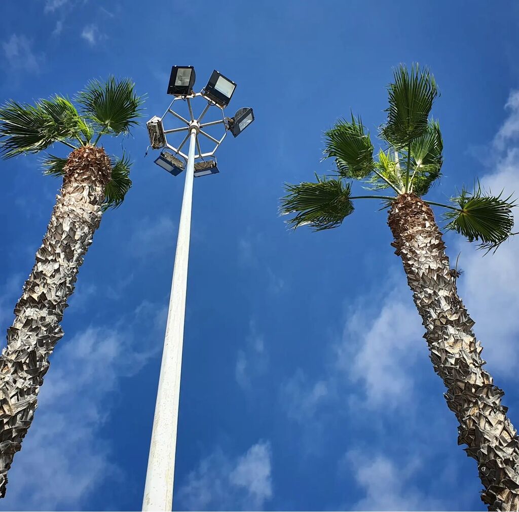 Dos palmeras y una farola