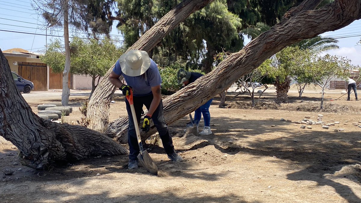 conaf_arica's tweet photo. El equipo de #CONAFArica está próximo a lanzar el resultado del Trabajo Comunitario que se realizó con los vecinos del sector Tierras Blancas para embellecer la plaza en la que niños y adultos comparten sus tiempos libres.
#ProgramaComunitario https://t.co/L3UVOuV7TB
