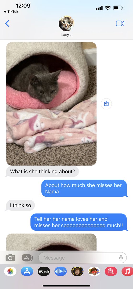 Nicole 🐸🐸 tweet media