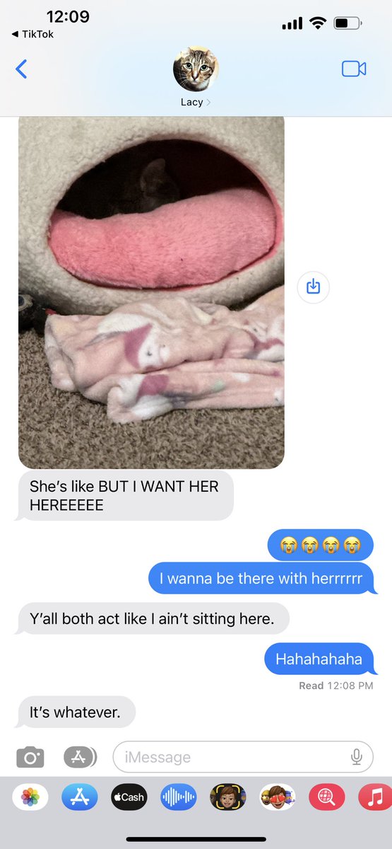 Nicole 🐸🐸 tweet media