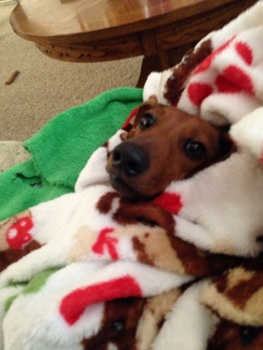 salsichinhas's tweet image. Falta muito pro final de semana?