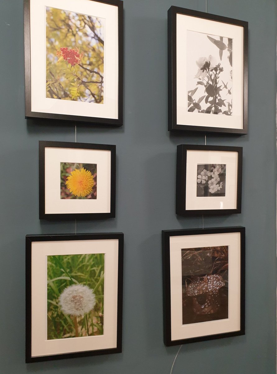 BiggarHigh's tweet photo. Pupils' photography exhibition at the Corn Exchange- Friday 'late night shopping' πΈ #bhs_creativity https://t.co/be0XaD6zym