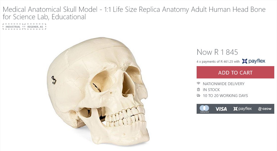 MaeztroML's tweet image. Hooray for head bones!

#Skull #Anthropology #ScholarlyLanguage