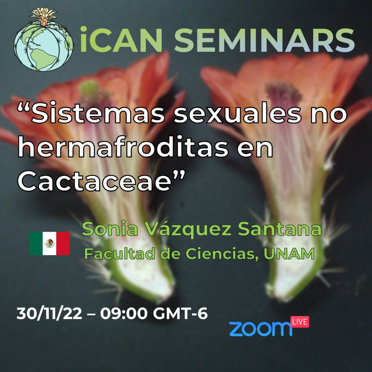 ican_cactaceae's tweet photo. Join the next seminar this Wednesday! https://t.co/MhevL60iS9