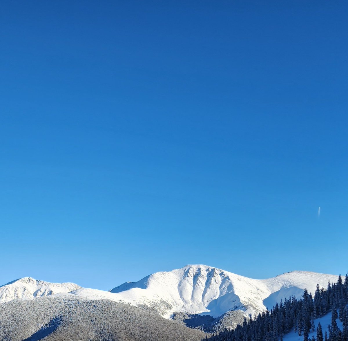 Grover Bynum tweet media