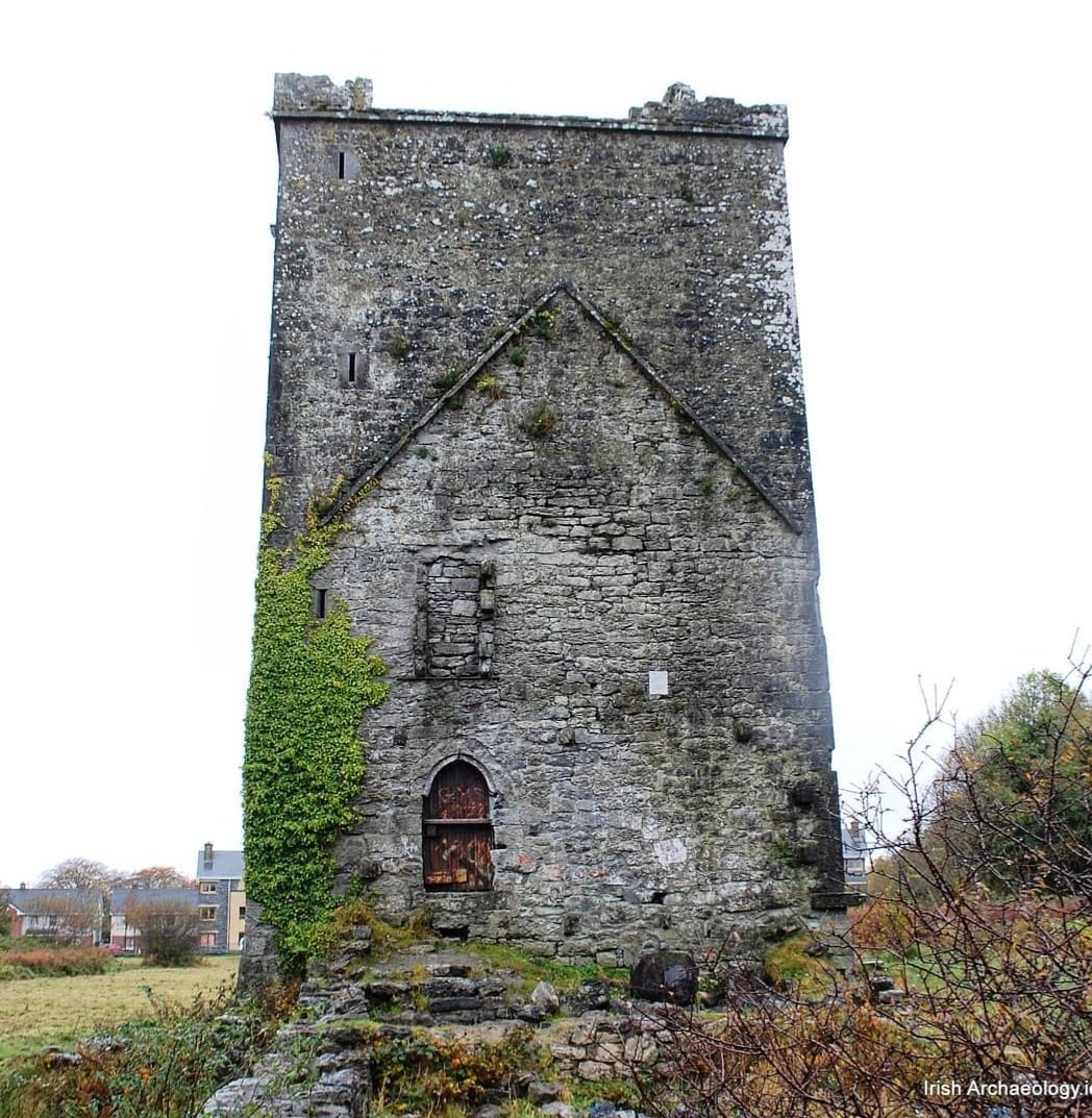 Irish Archaeology tweet media