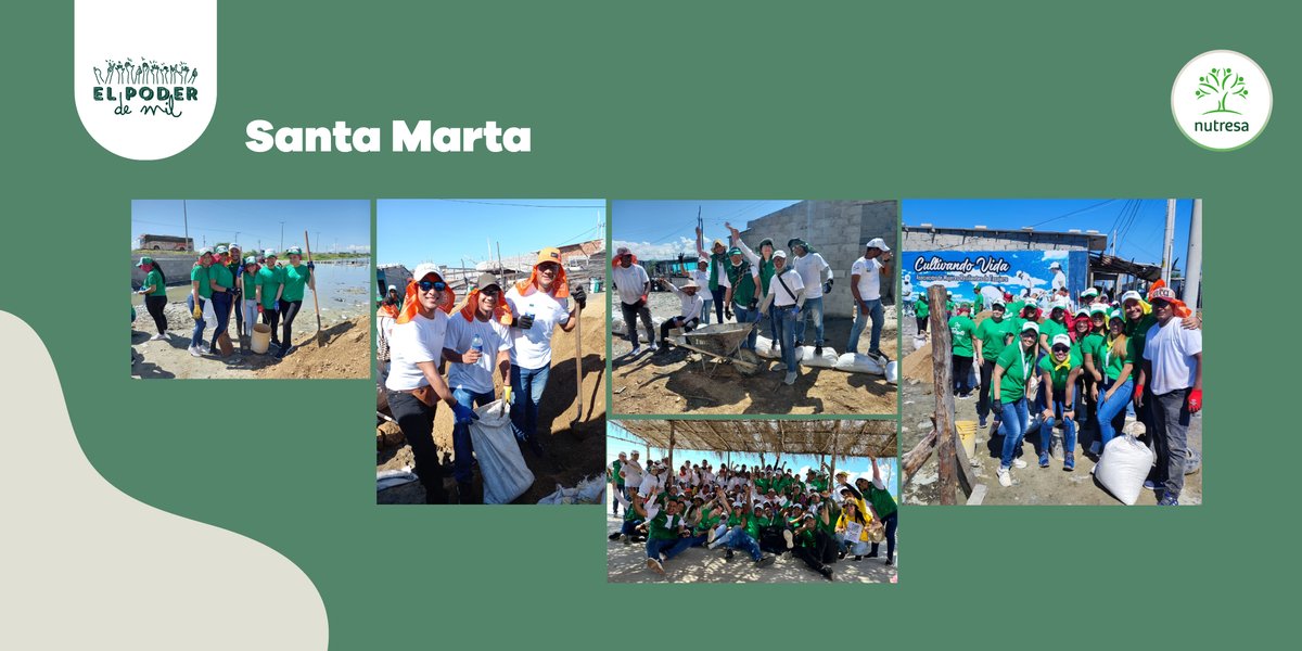 En Santa Marta nuestro #VoluntariadoNutresa está en Pueblo Viejo con un foco importante en la recuperación de manglares.