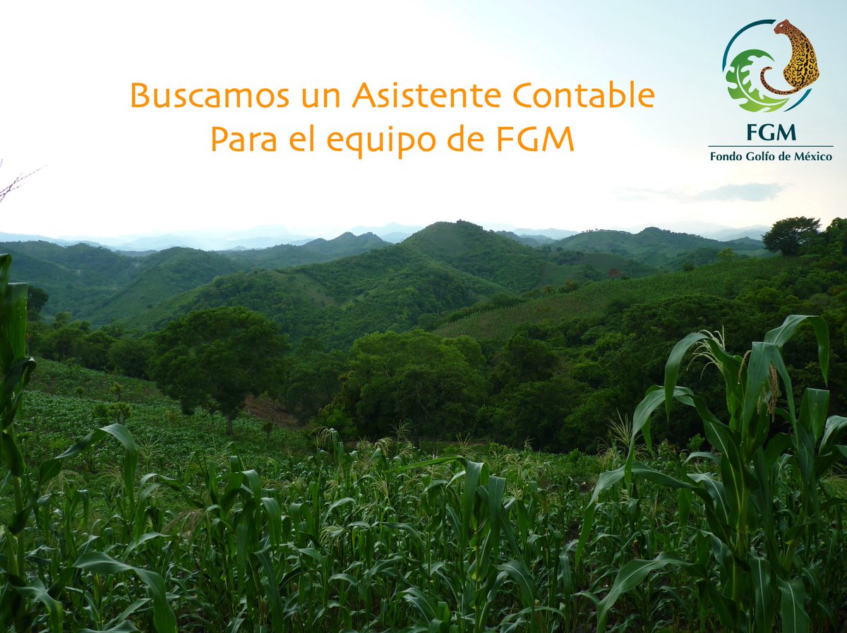 En Fondo Golfo de México AC estamos buscando un asistente contable que apoye al equipo contable-administrativo, consulta la convocatoria aquí:

fgm.org.mx/convocatoria-p…