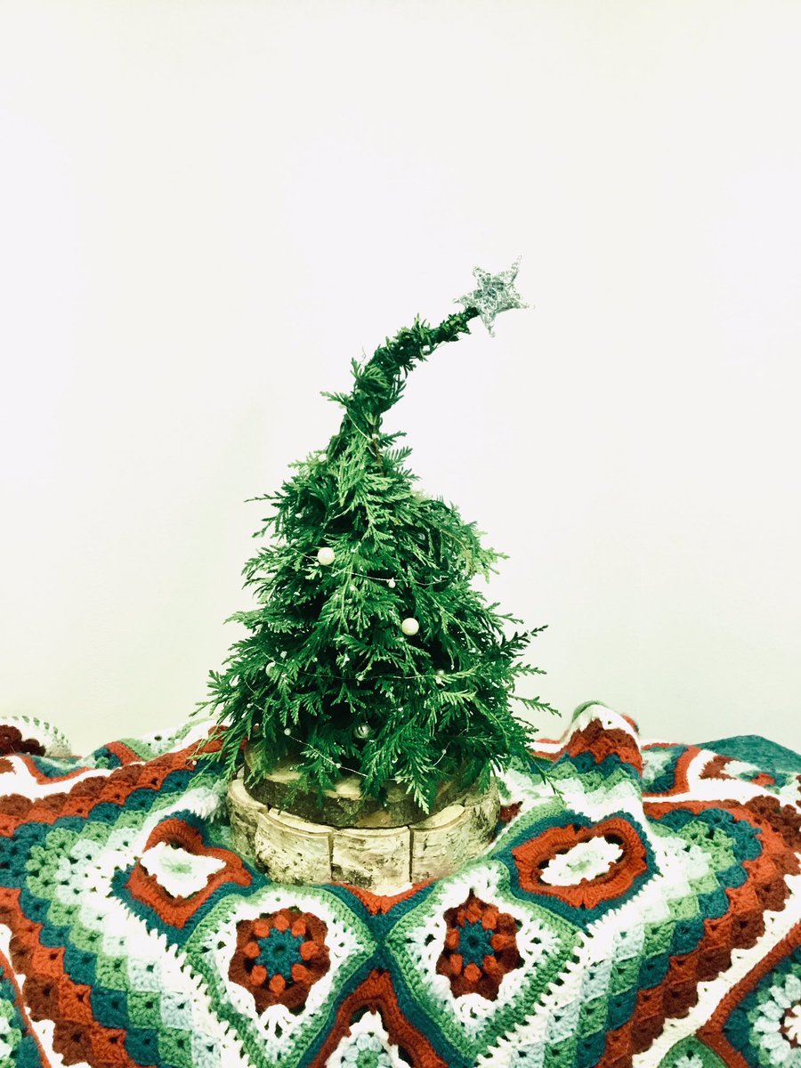 All prepared <a href="/MyerscoughColl/">Myerscough College & University Centre</a> for the start of Advent on Sunday with these fun festive designs by the level 2 florists. Inspired by Whooville, so should even cheer up the ‘Grinches’ out there! #KindnessMatters #JoyFE💛 
💚To kindness and love, the things we need most ~ Dr Seuss 💚