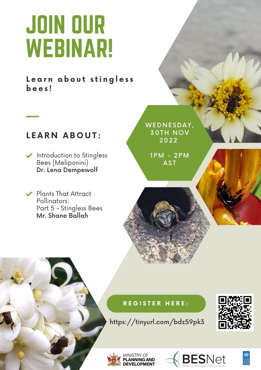 besnet_tt's tweet photo. Join us on Wednesday, 30th November 2022 at 1pm AST to talk about Stingless Bees!

Register here: https://t.co/3PqjA94Rxc https://t.co/YaUwME2uqT