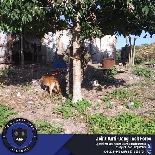 JDFSoldier's tweet photo. The Security Forces are hot on the trails of Nesta "Bigga Crime" Morrison and key associates of the Tankwell Hill gang
Help us to complete the mission in capturing these notorious persons. Call 876-224-4483 JDF Tip Line 876-837-8888 or Crime Stop at 311.
#OperationRelentless https://t.co/gxDbHIO4Lu