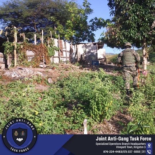 JDFSoldier's tweet photo. The Security Forces are hot on the trails of Nesta "Bigga Crime" Morrison and key associates of the Tankwell Hill gang
Help us to complete the mission in capturing these notorious persons. Call 876-224-4483 JDF Tip Line 876-837-8888 or Crime Stop at 311.
#OperationRelentless https://t.co/gxDbHIO4Lu