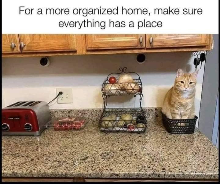 Nic Baker (@yourrealtornic) on Twitter photo 