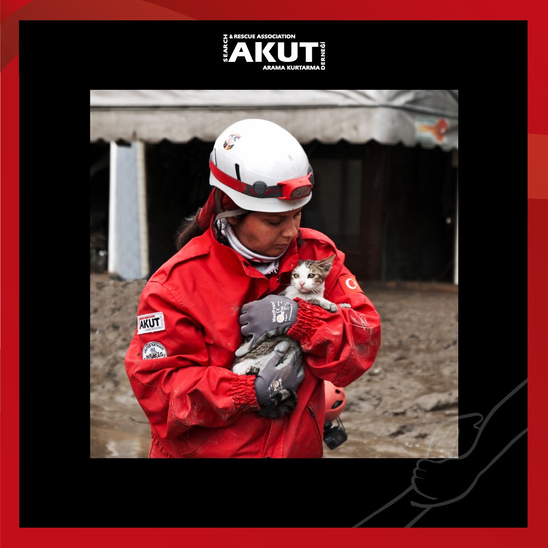 1️⃣
Operasyon ve sosyal sorumluluk projelerimizle, zor durumda kalan sayısız hayvan dostumuzun yardımına koşmuş AKUT gönüllüleri olarak biz, hayvana yönelik uygulanan her türlü şiddeti kınıyoruz.