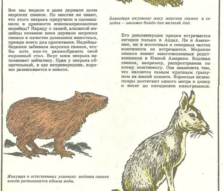 Alexander Kulikov tweet media