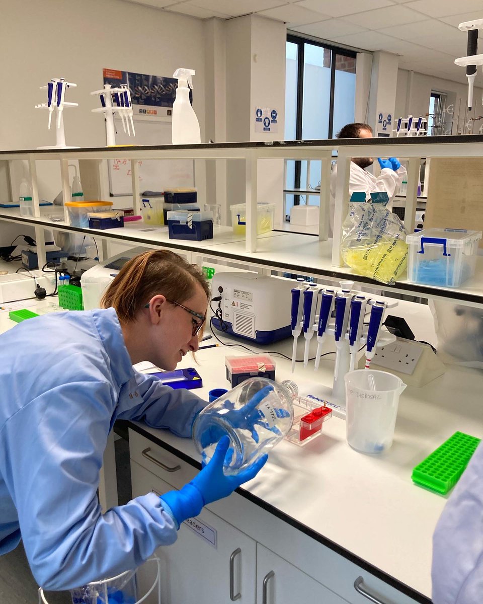 UCSbiosciences's tweet photo. Our second year students getting stuck in to running gels and carrying out PCR 🎉 @UoCMedSchool @uochester #PCR https://t.co/deokJe3bHU