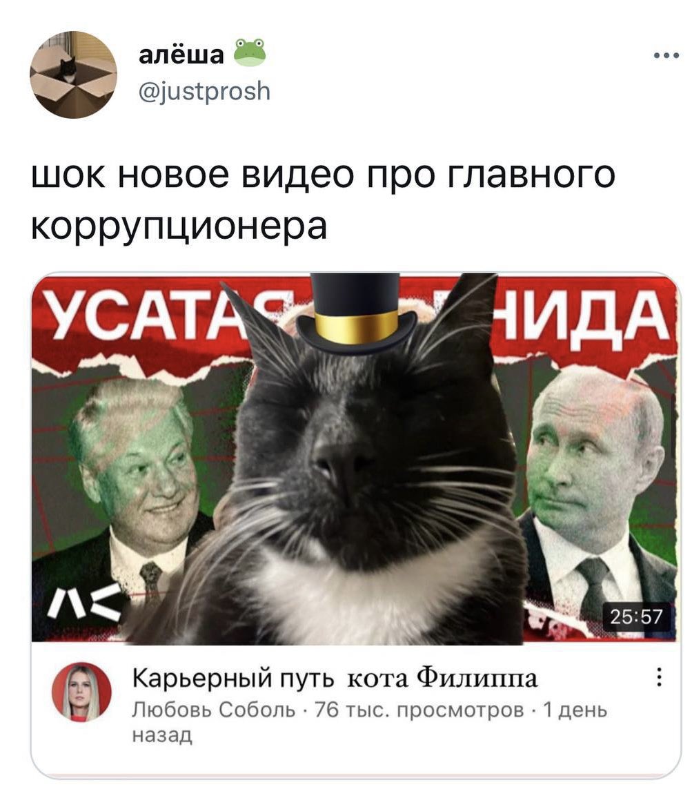 Соболь Любовь on Twitter: "О, рада, что обложка этого видео понравилась ...