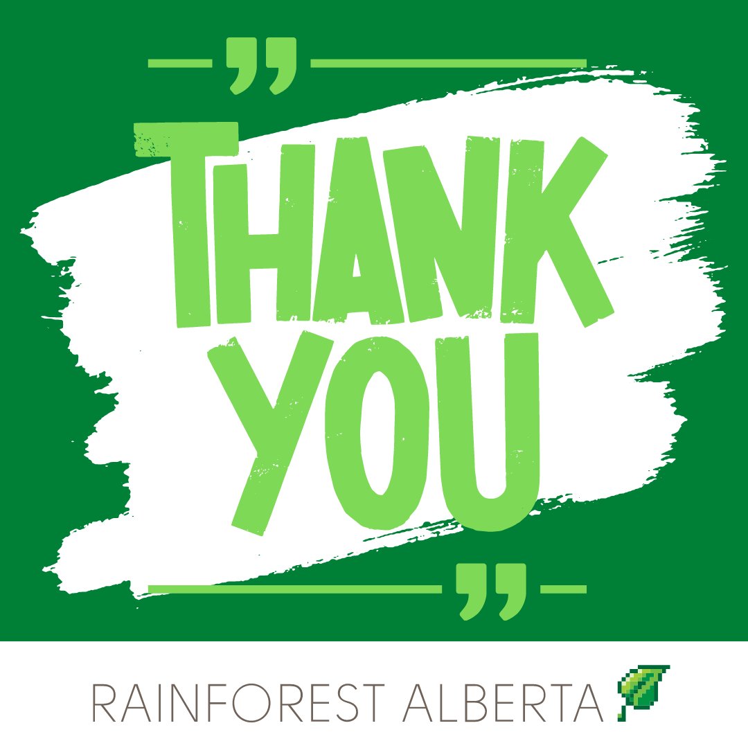 Thank you to everyone who attended, sponsored &amp; supported the Rainforest Summit. 
We can’t do this important work without you🙏

We greatly value your support and hope to see you all next year!

#startup 
#techevents
#entrepreneur 
#leadership 
#founder 
#diversityandinclusion