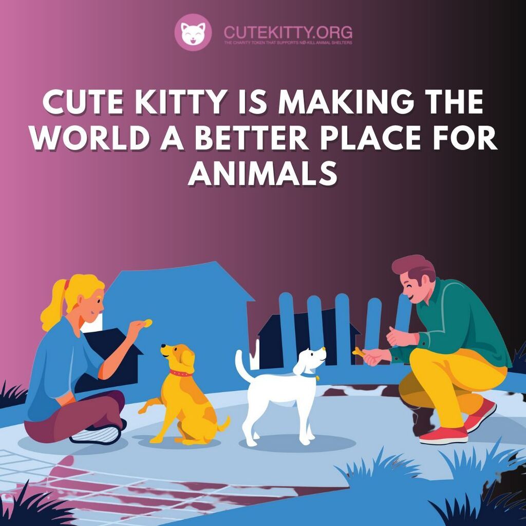 cutekittyorg's tweet photo. We as a community find and fund north shore animal shelter😍
.
.
.
.
#cutekitty #helpanimals #cutekittyorg #cutekittytothemoon https://t.co/jwbKB94CHk https://t.co/s3qRtB7jba