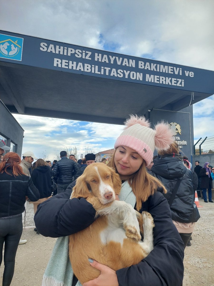 PatiPerileri's tweet photo. Kurtarabildiklerimizi bi sekil aldık, sahiplendik. Bütün tedavilerine üstlendik. 
#Konyadakatliamvar #Konya https://t.co/llmZfS0vmW