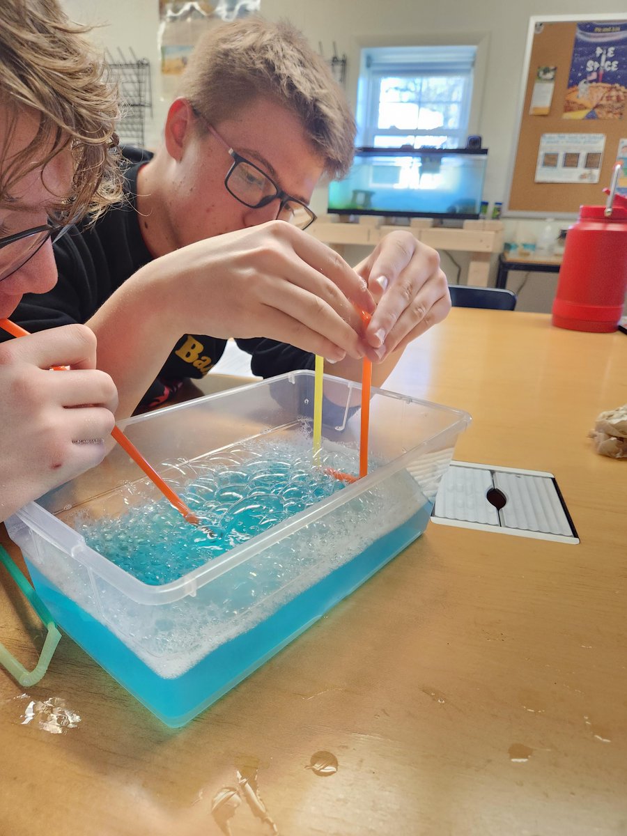 MoravianAcademy's tweet photo. Aleena Anas '23 enjoyed her recent AP Biology lab so much, she wrote a blog about it! Read more to find out what Mr. Reggie's class was up to ➡️ https://t.co/TXW2CyObaF

#MoravianAcademy #MerleSmithCampus #APBio #STEM #Science #IndependentSchool #NAIS #PAIS https://t.co/oIisKpZWAG