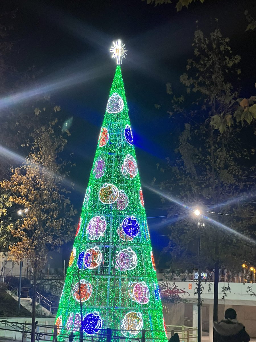 Saruska_G's tweet photo. @oscar_puente_  @AyuntamientoVLL 1 día y ya se nos ha “pochao” el árbol. #espiritunavideñooff #pilarica https://t.co/wGCtxX9vH4