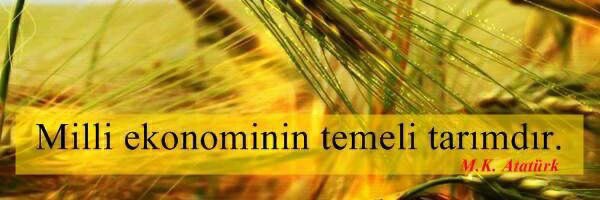 #VahitKirisci15BinZiraatMüh
