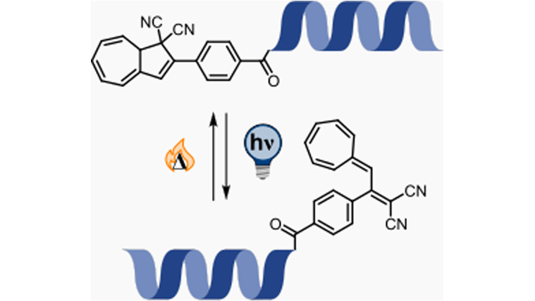 EurJOC's tweet photo. Peptide Conjugated Dihydroazulene/Vinylheptafulvene Photoswitches in Aqueous Environment by @NadjaSimeth and co-workers (@briancorbet, @ElenaRCot, @stefano_crespi, @MBExC_de, @uniGoettingen) #NextGenOrgChem #OpenAccess https://t.co/Ll7d7LTV9y https://t.co/uPVGGLH0DA