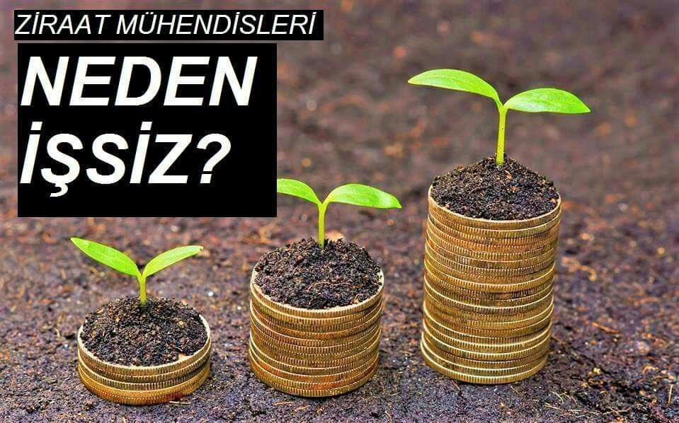 #VahitKirisci15BinZiraatMüh
