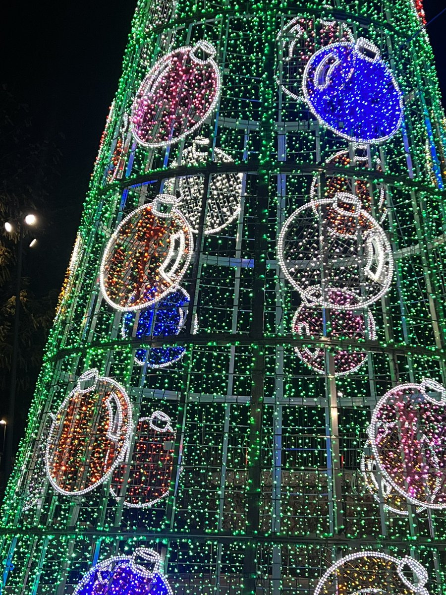 Saruska_G's tweet photo. @oscar_puente_ @AyuntamientoVLL 1 día y ya se nos ha “pochao” el árbol #espíritunavideñooff #pilarica https://t.co/E5SVmwQZWu