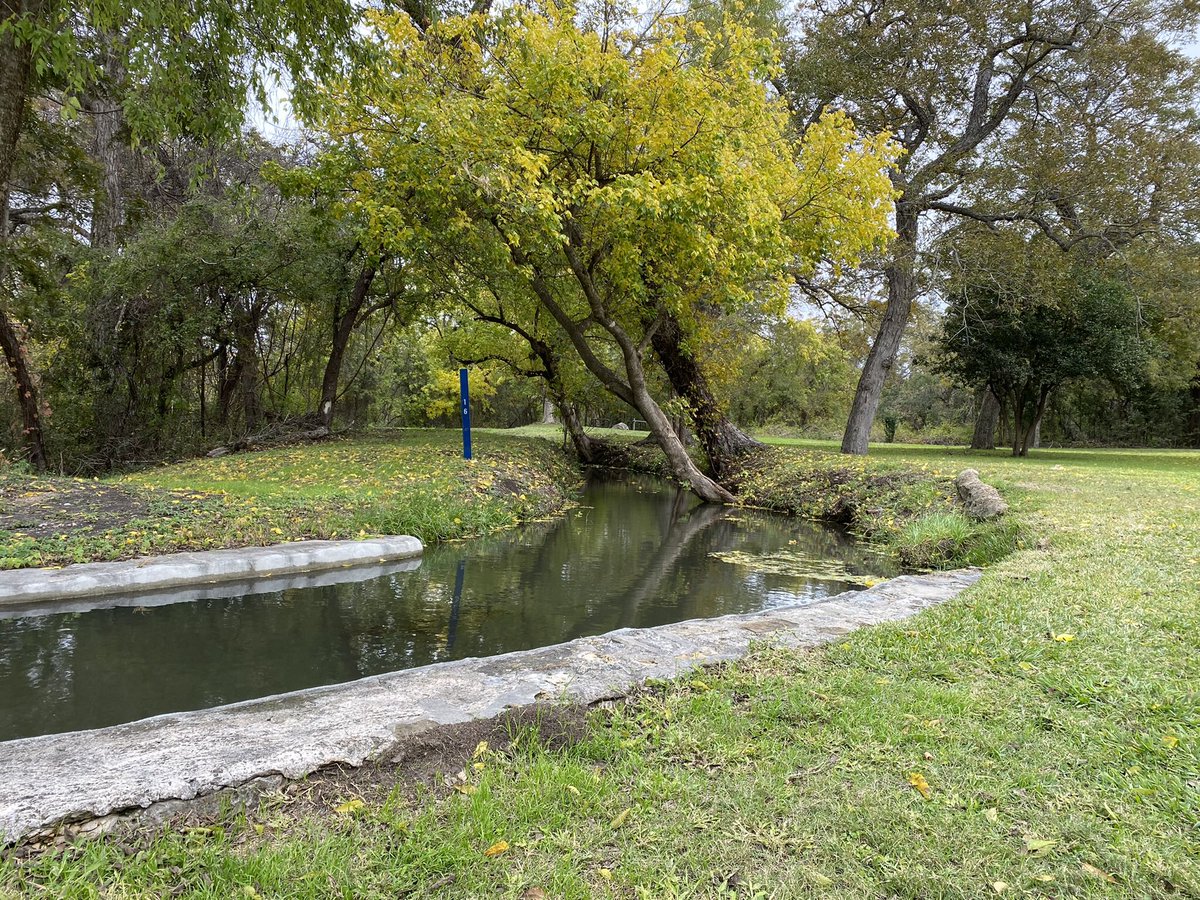 RaulM210 tweet media