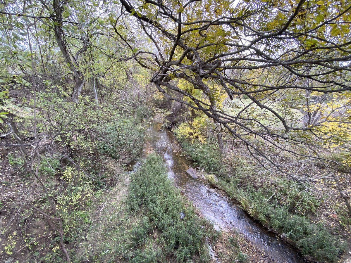 RaulM210 tweet media