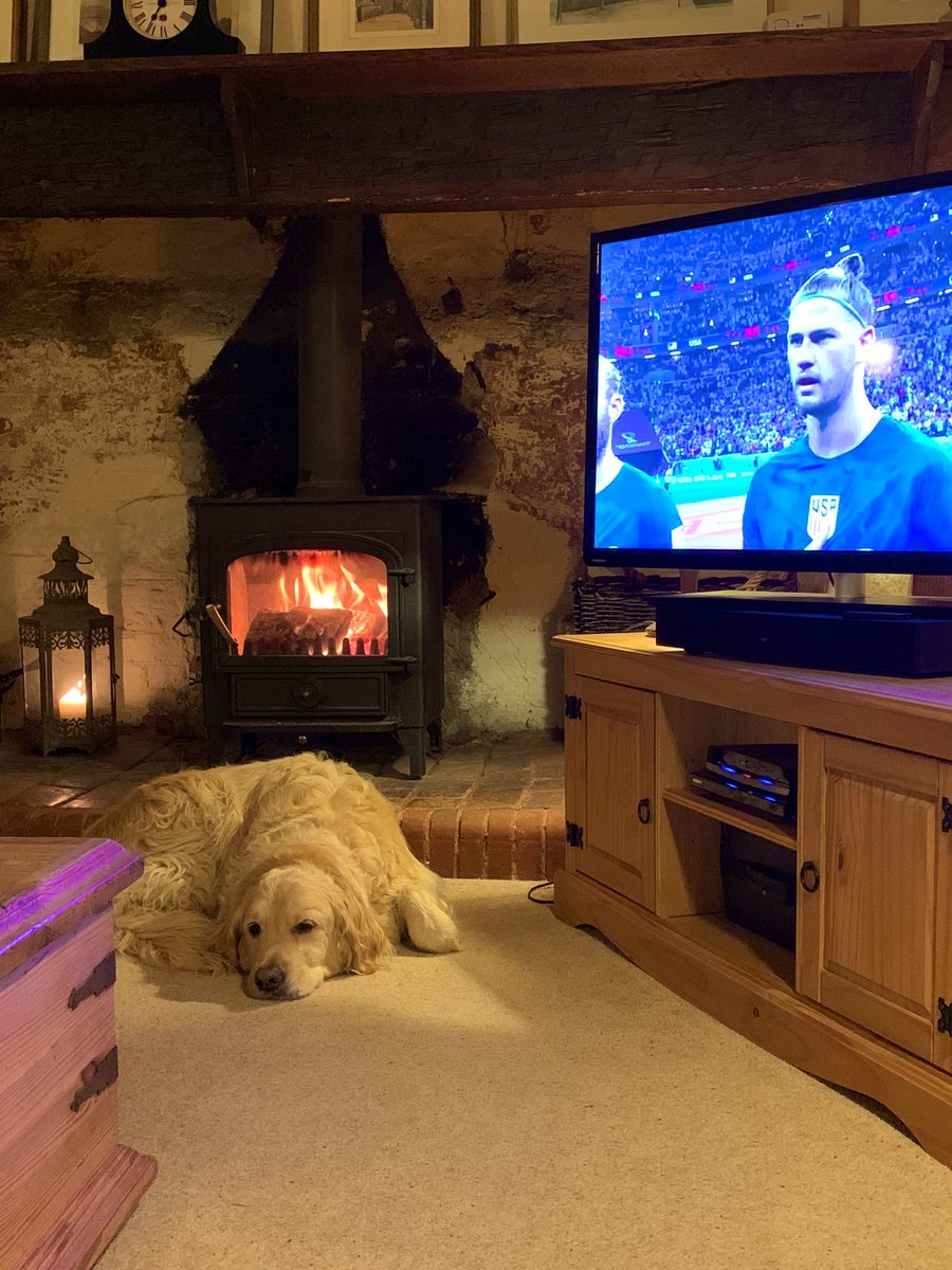 GraceLSDavidson's tweet photo. #FridayNightAtHome with Log Burner, #MontyDog, England ๐ด๓ ง๓ ข๓ ฅ๓ ฎ๓ ง๓ ฟ v USA ๐บ๐ธ and a G&T ๐ #Home #ComeOnEngland @FIFAWorldCup https://t.co/M31Dw1VeAD