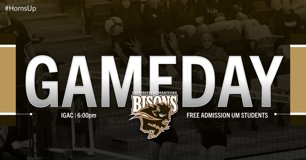 umbisons's tweet photo. GAME DAY ‼️

@bisonswvb is back for more this weekend against @ReginaCougars as they look for another sweep! 

🎟️ Tickets - https://t.co/g2Ab2AZmjd
✍️ Weekend Preview - https://t.co/z1mbH2beqM
📺 Watch - https://t.co/ITFlsVmzi0

#WeAreAllBisons #HornsUp🤘 #UManitoba https://t.co/3sRpuoiNgS