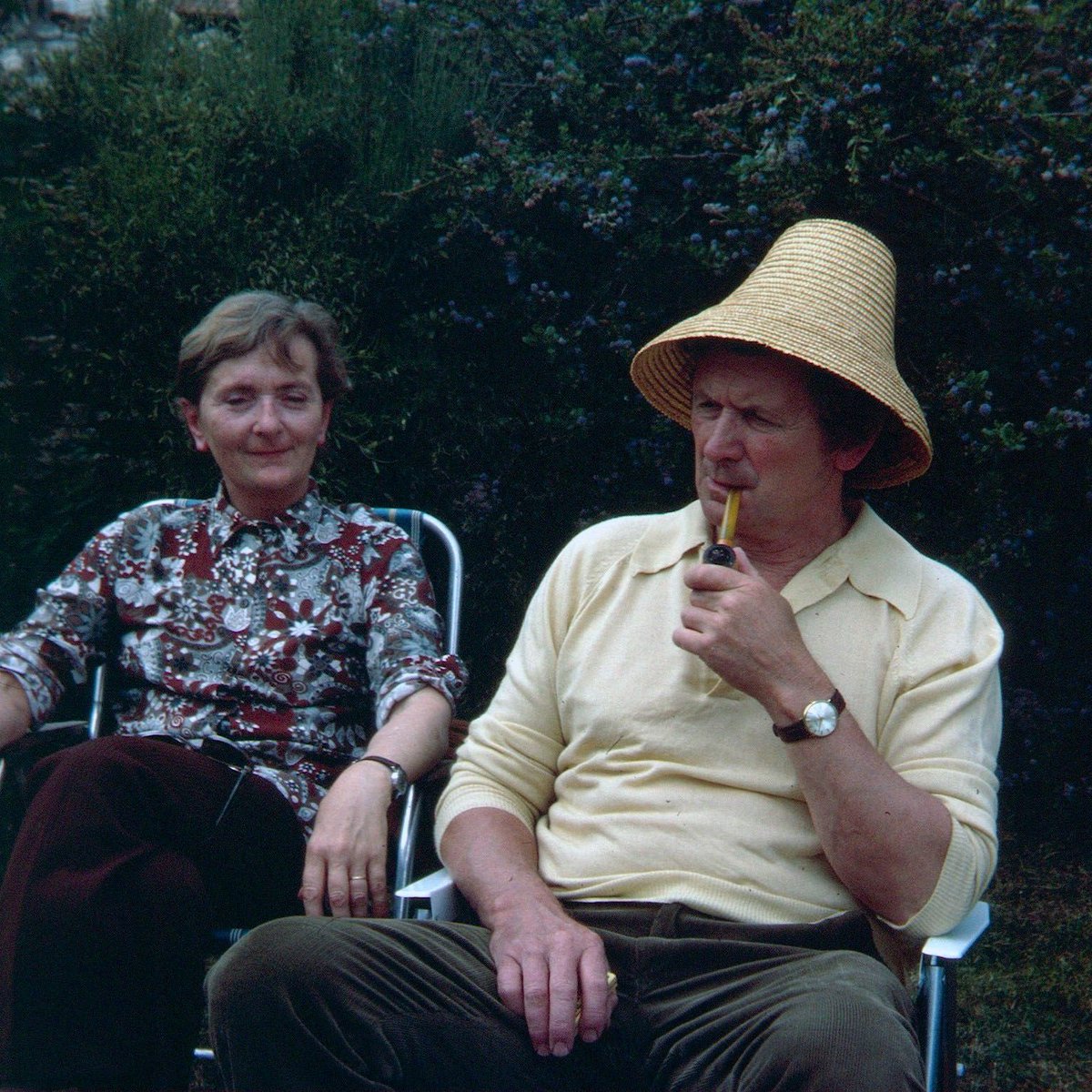 Dick King-Smith HQ tweet media