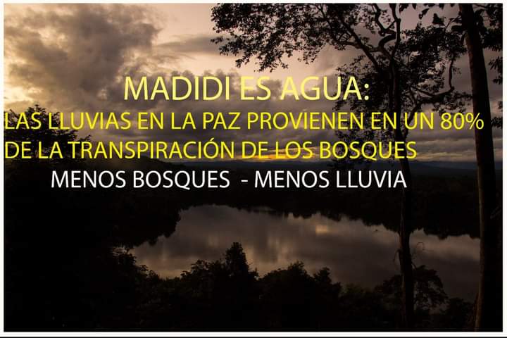 alexvillca's tweet photo. MADIDI: !ES BOSQUE, ES AGUA, ES VIDA!
La construcción de centrales hidroeléctricas #Chepete y #ElBala. El avance desmesurado de la #Minería ilegal del #Oro, amenazan con destruir al #Madidi y los territorios indígenas.
!Menos Bosques - Menos Agua! https://t.co/PrQnWLn4fg
